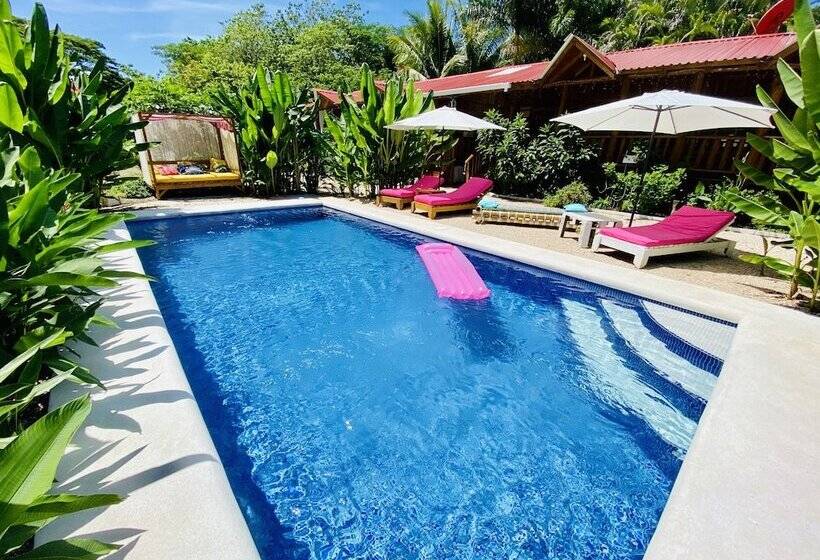 酒店 Cabanas Lamaite