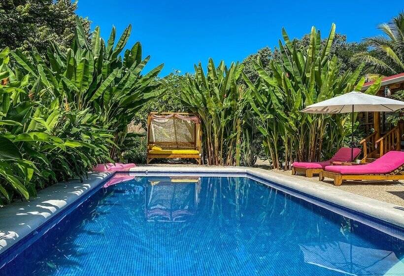 酒店 Cabanas Lamaite