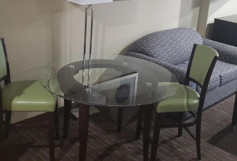 Отель Horizon Inn & Suites