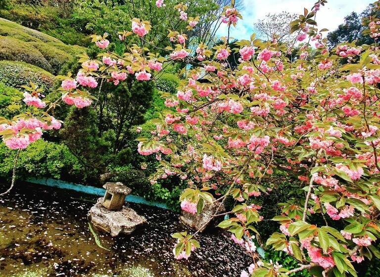 פנסיון Campo24roma Guesthouse