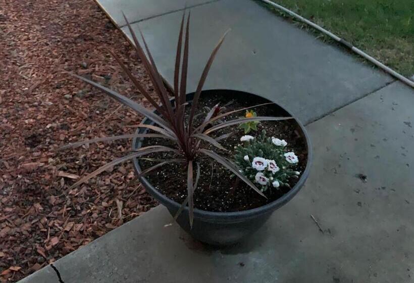 The Wing At Kingston East