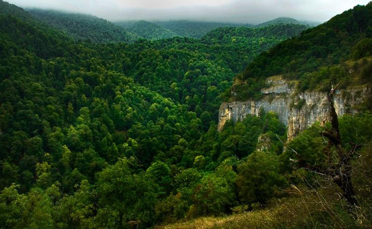 호스텔 Luse Guest House