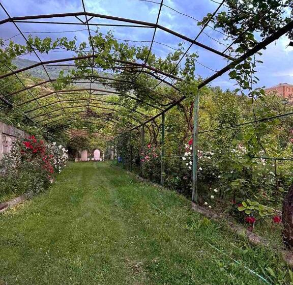 호스텔 Luse Guest House