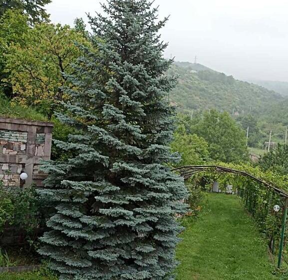 호스텔 Luse Guest House