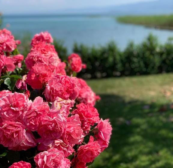 هاستل Guest House Tivko Katce Gostivar