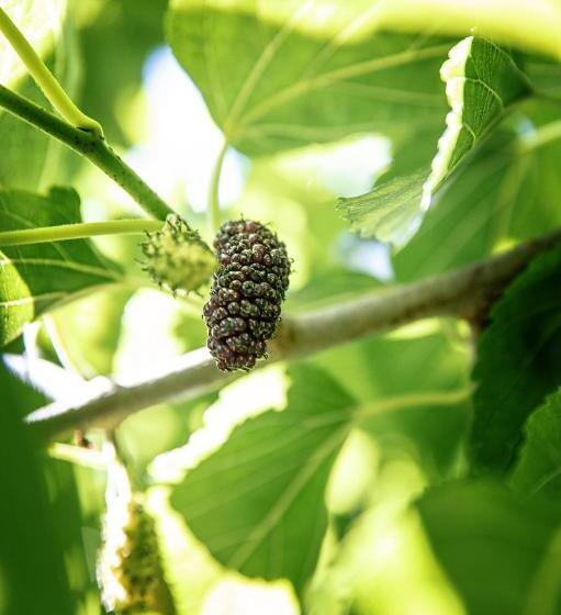 Отель Agr. Cascina Fabbrica