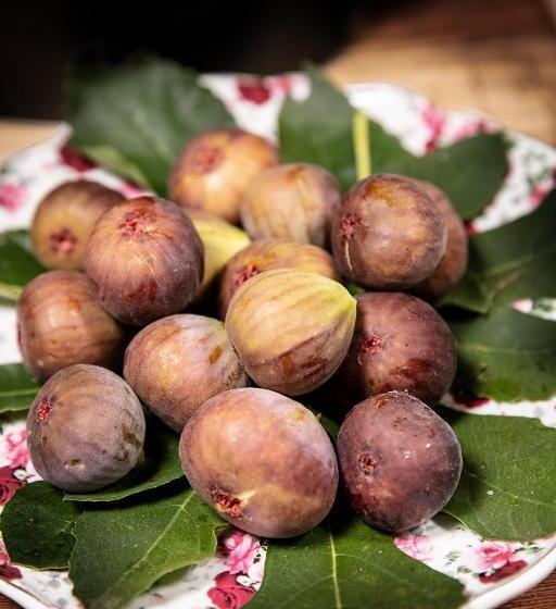 Отель Agr. Cascina Fabbrica