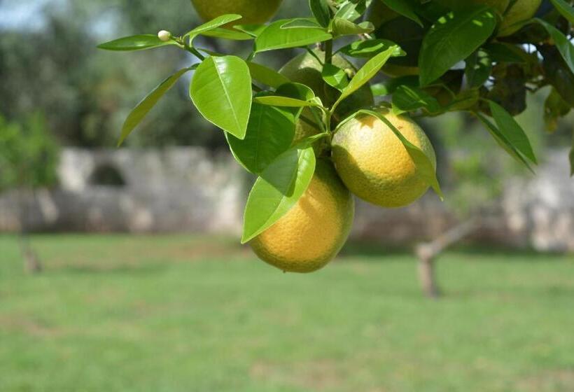 هتل Puglia Garden