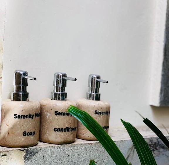 פנסיון Villa Serenity