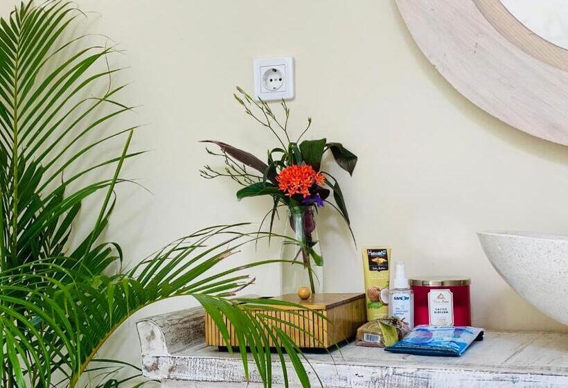 פנסיון Villa Serenity