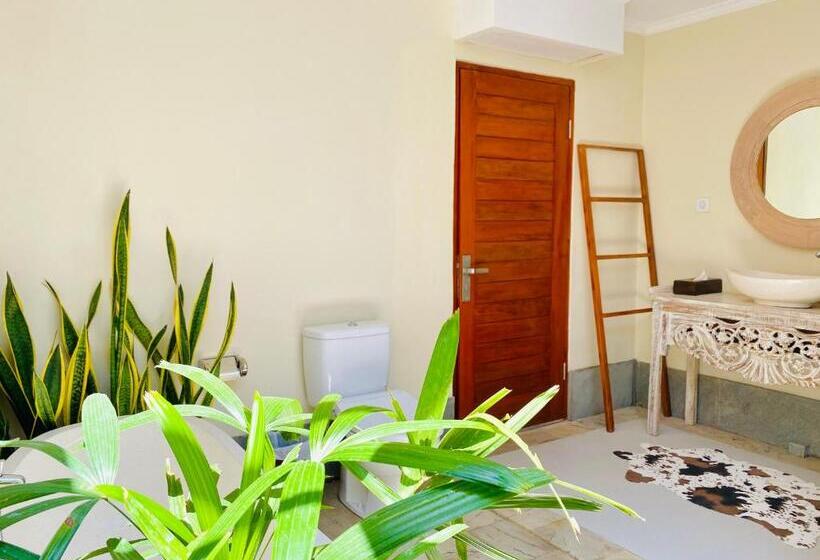 פנסיון Villa Serenity