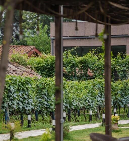 Vineyard Hotel & Winery