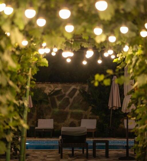 Vineyard Hotel & Winery