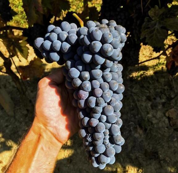 مبيت وإفطار Agriturismo Le Giustizie