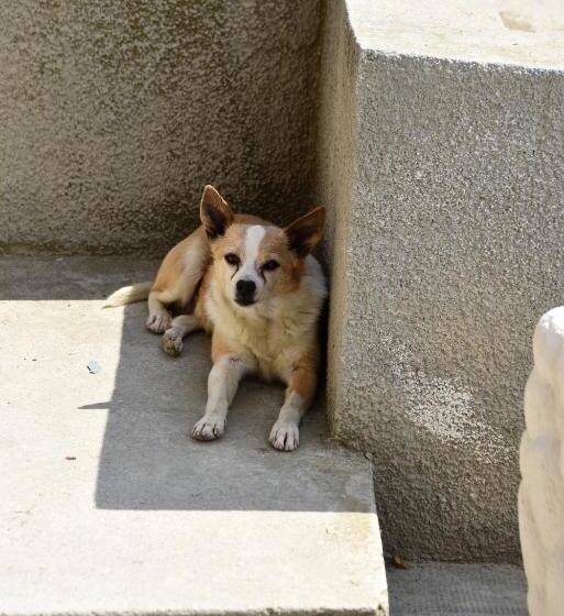 مبيت وإفطار Agriturismo Le Giustizie