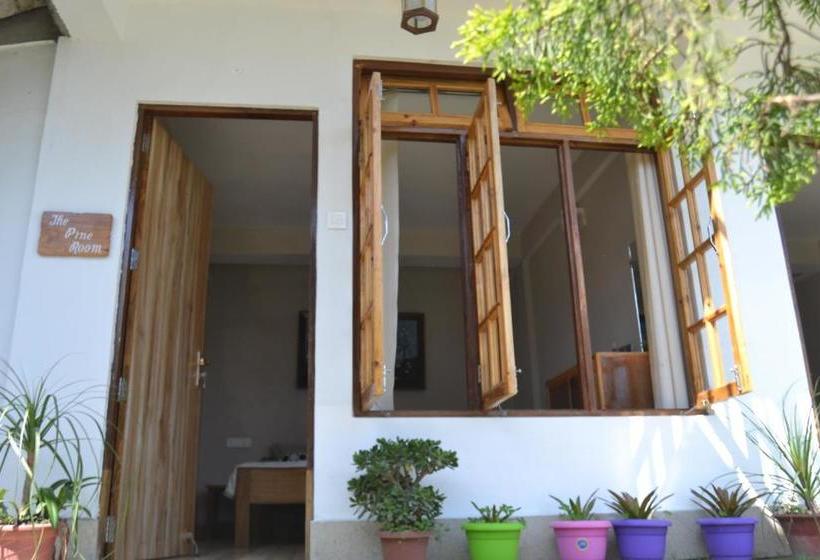 Bed and Breakfast The Gingko Eyrie