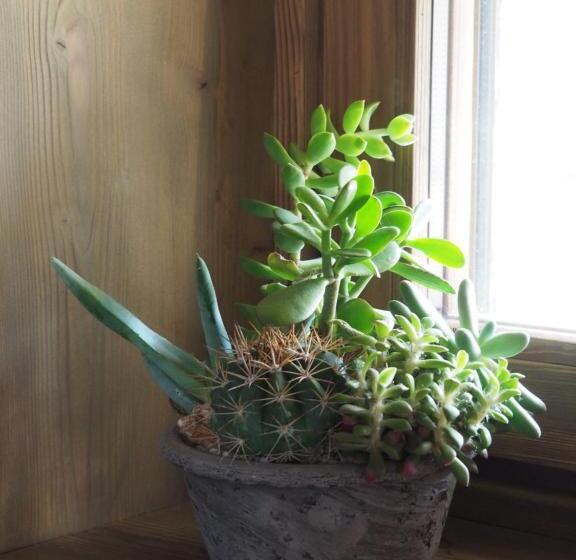 Bed and Breakfast Virasol