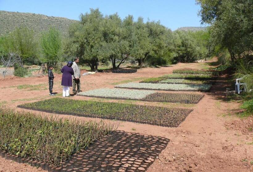 هتل Ecolodge Espace Tamount