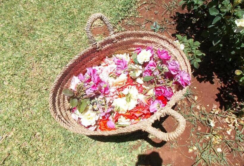 هتل Ecolodge Espace Tamount