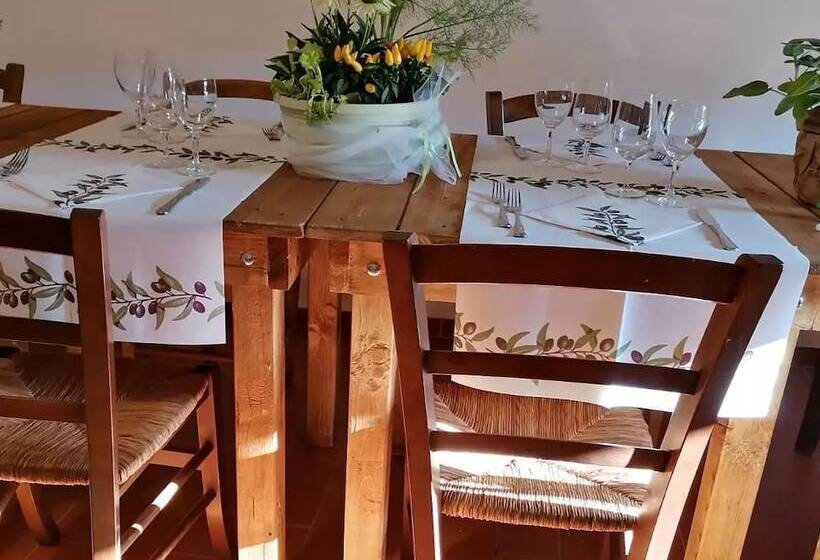 ホテル Fattoria Di Cintoia