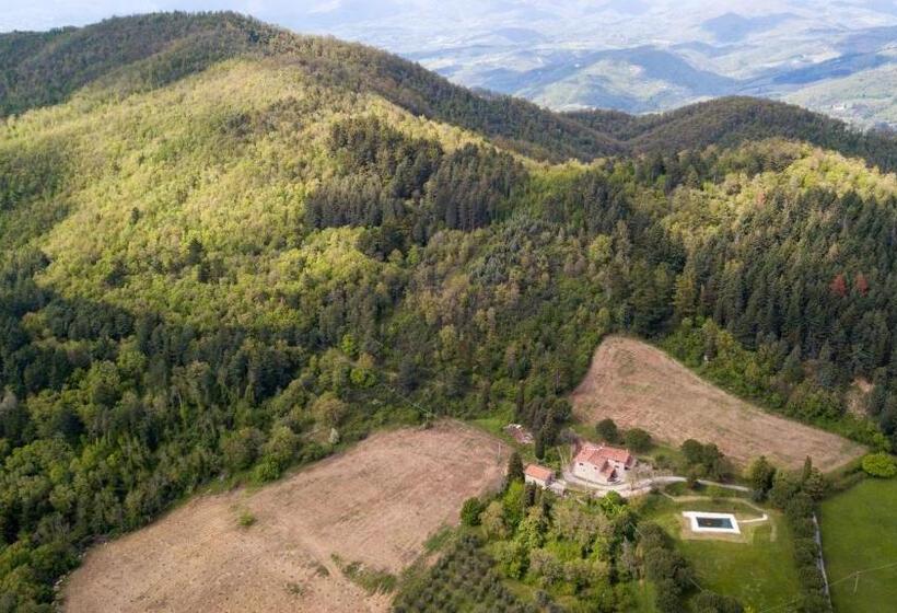 ホテル Fattoria Di Cintoia