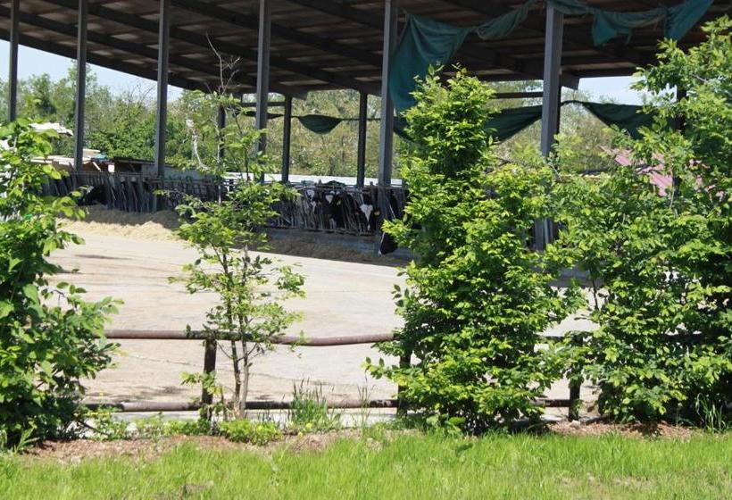 New Flowers Farm B&b