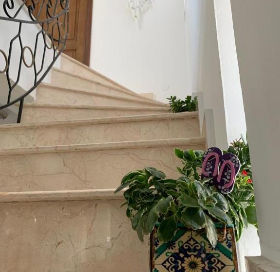 بنسيون Casa Ruxandrei