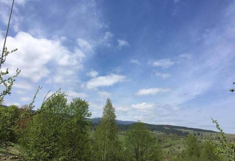 Пансион Transilvania Garden House