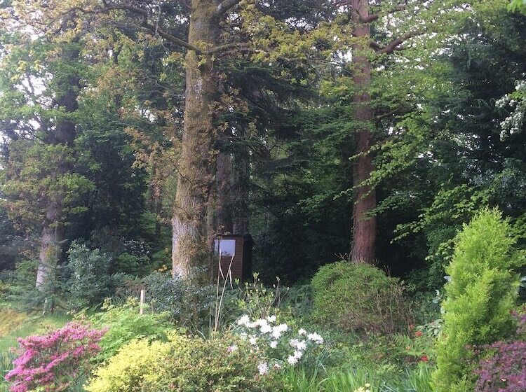 Bed and Breakfast Claremont House Keswick