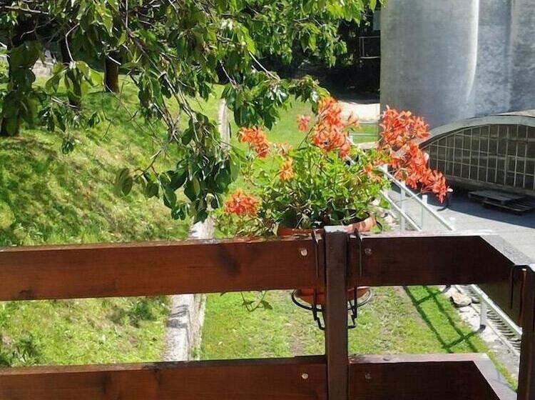 住宿加早餐  Fattoria Del Pino