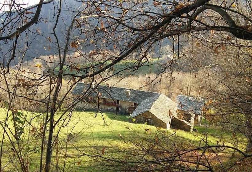 住宿加早餐  Fattoria Del Pino