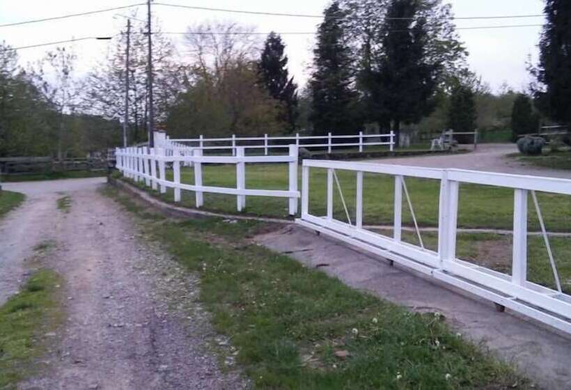 住宿加早餐  Fattoria Del Pino