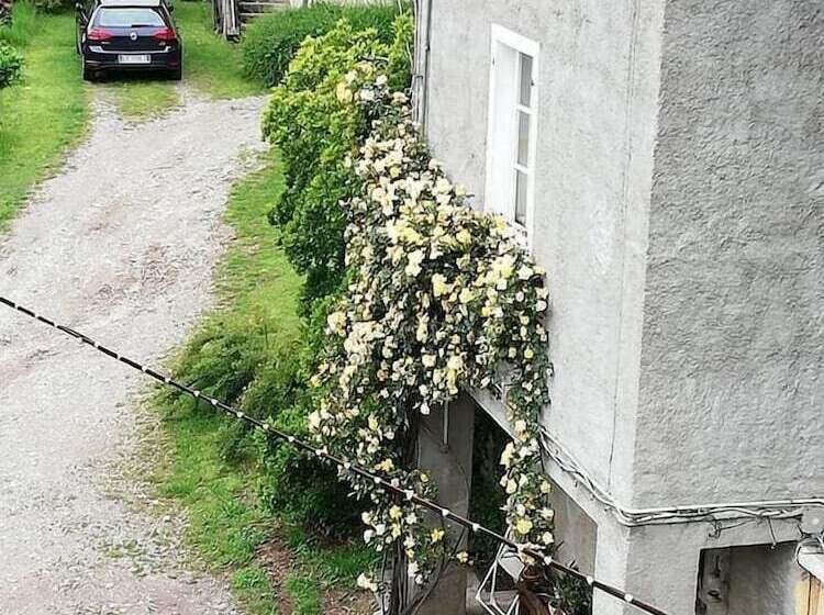 مبيت وإفطار Fattoria Del Pino