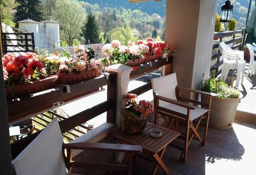 住宿加早餐  Fattoria Del Pino