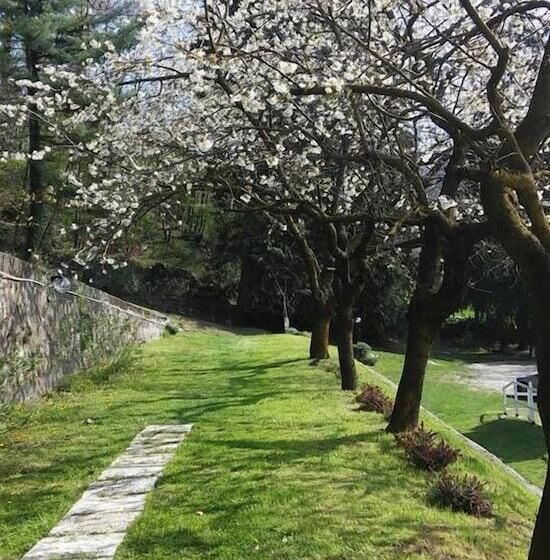 住宿加早餐  Fattoria Del Pino