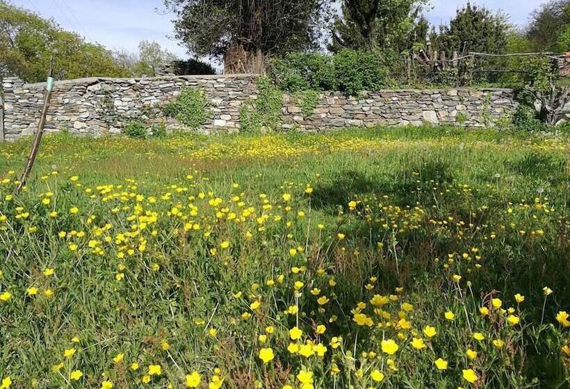 住宿加早餐  Fattoria Del Pino