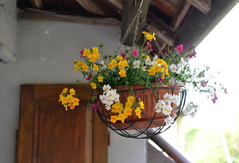 مبيت وإفطار Fattoria Del Pino