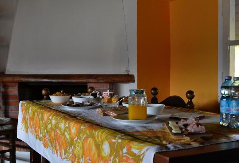 住宿加早餐  Fattoria Del Pino