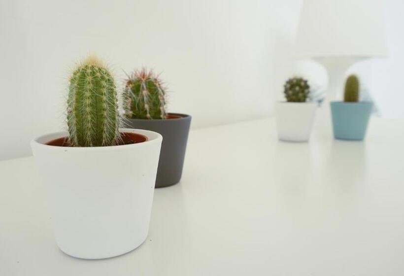 مبيت وإفطار Martin's Villa