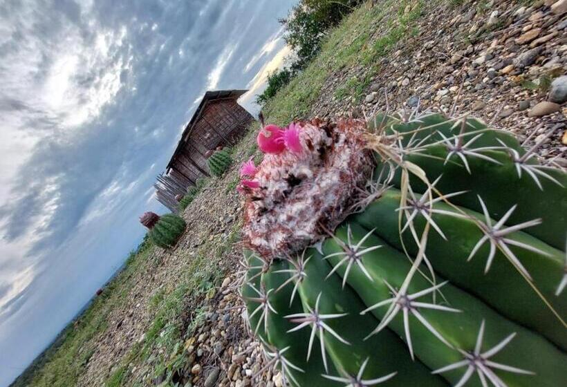 فندق Flor De Liz Bereshit Bara