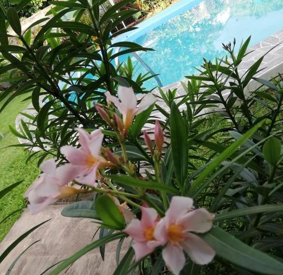 هتل Hospedaje Mara