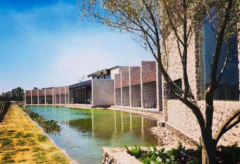 酒店 Viñedos San Francisco