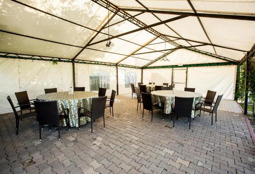 膳宿费 Magic Garden By Vlăduț