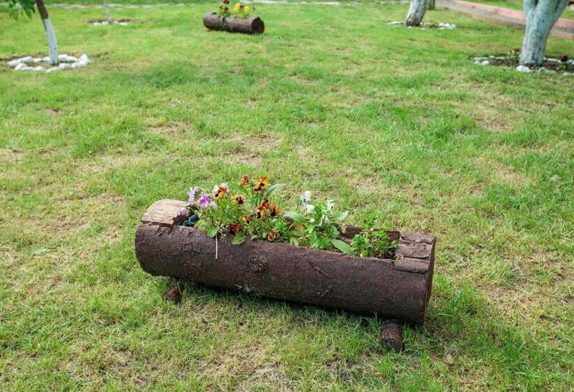 膳宿费 Magic Garden By Vlăduț