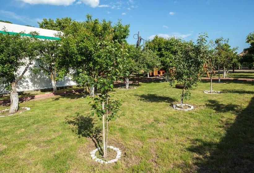 膳宿费 Magic Garden By Vlăduț