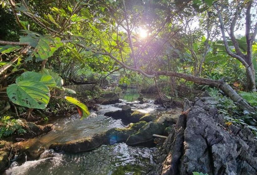 هاستل Nomadders Ha Giang