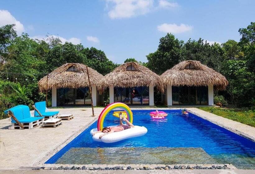 هاستل Nomadders Ha Giang