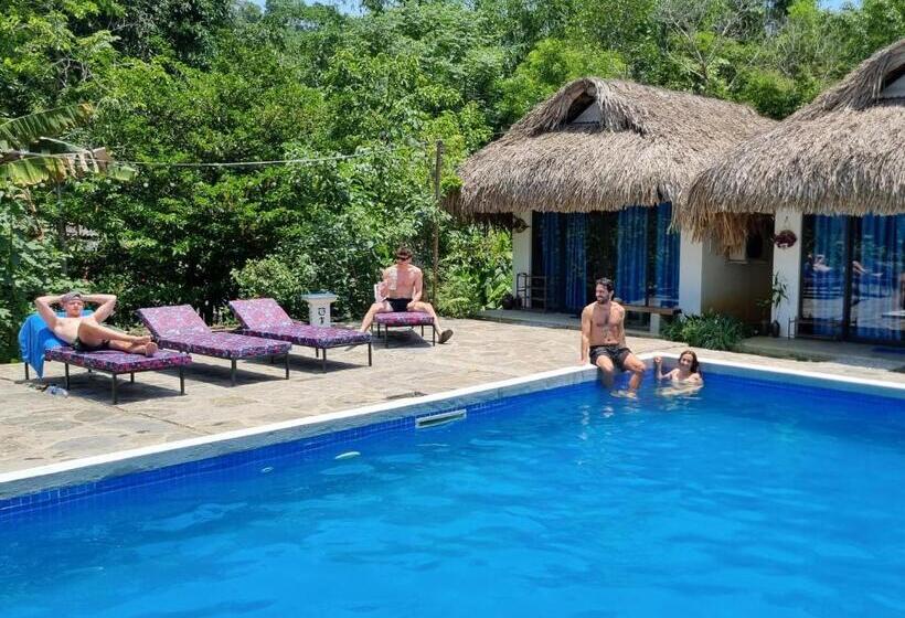 هاستل Nomadders Ha Giang