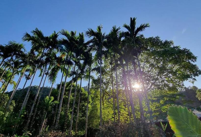 هاستل Nomadders Ha Giang