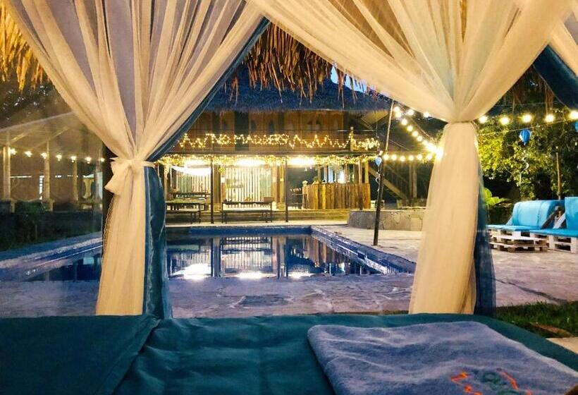 هاستل Nomadders Ha Giang